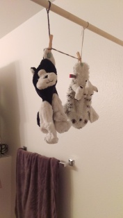 hang to dry